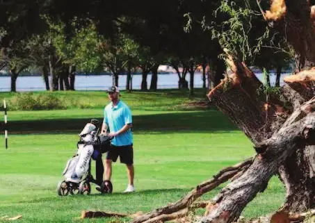 Un golfeur tire son chariot sur un parcours arboré, à côté d’un arbre abattu.